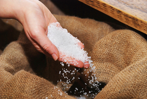 seasalt1.jpg